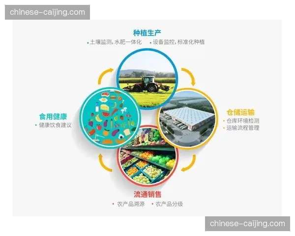 监管部门在当前阶段引导标准化流程落地 规范跨行业协作准则